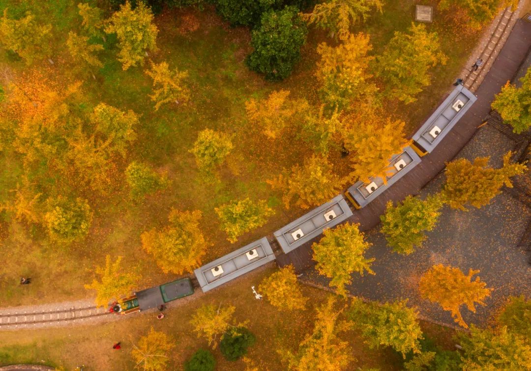 效履行法律监督职责“浙”里看见美丽中国麻将胡了2深入学习贯彻习法治思想 高质(图7)