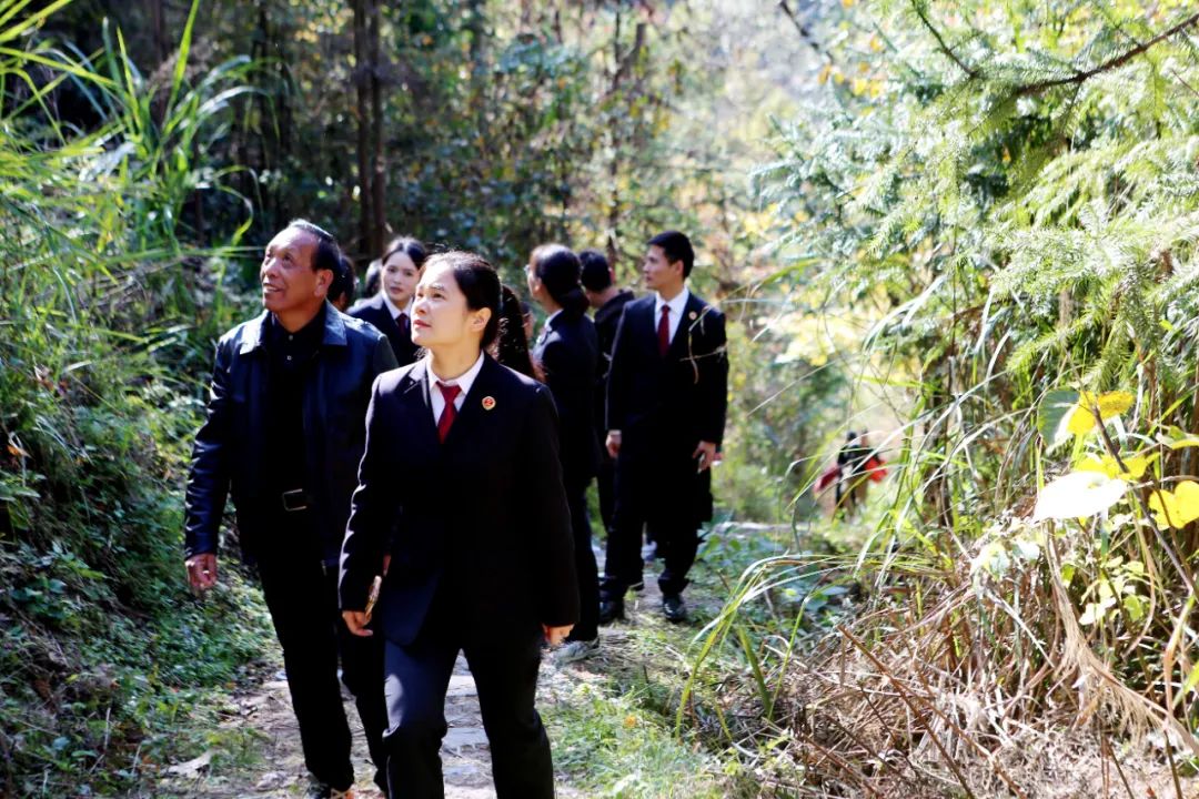效履行法律监督职责“浙”里看见美丽中国麻将胡了2深入学习贯彻习法治思想 高质(图6)