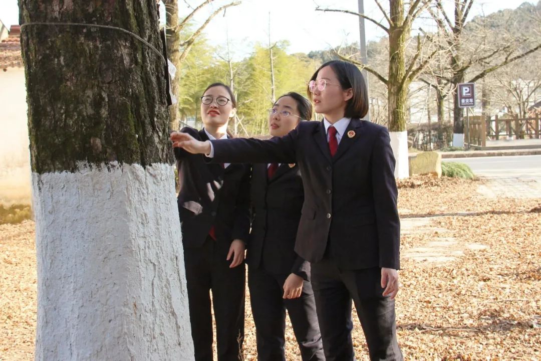 效履行法律监督职责“浙”里看见美丽中国麻将胡了2深入学习贯彻习法治思想 高质(图5)