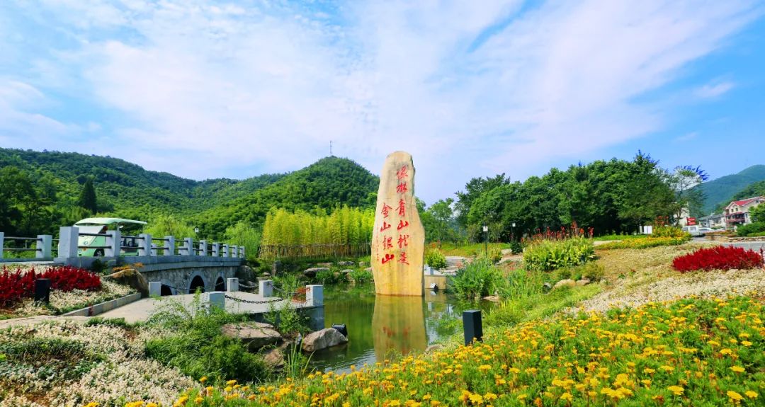 效履行法律监督职责“浙”里看见美丽中国麻将胡了2深入学习贯彻习法治思想 高质(图8)