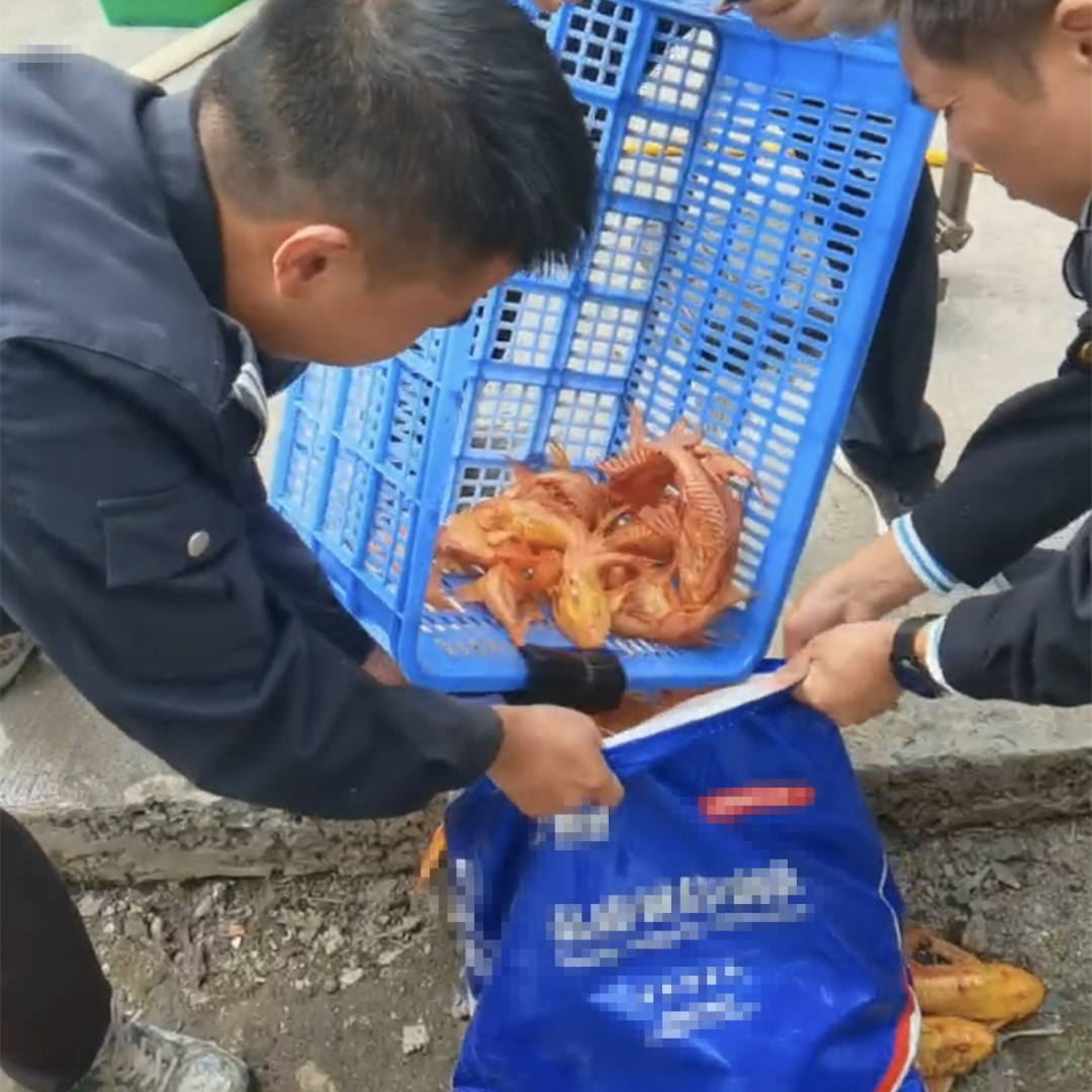 效履行法律监督职责“浙”里看见美丽中国麻将胡了2深入学习贯彻习法治思想 高质(图9)