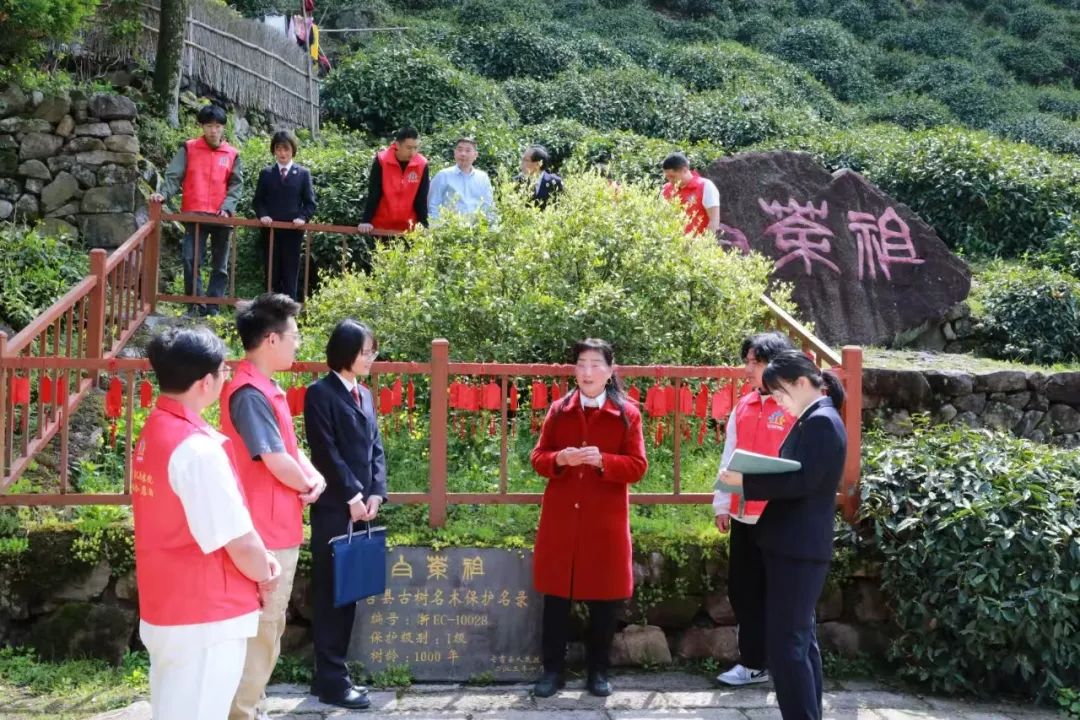 效履行法律监督职责“浙”里看见美丽中国麻将胡了2深入学习贯彻习法治思想 高质(图10)