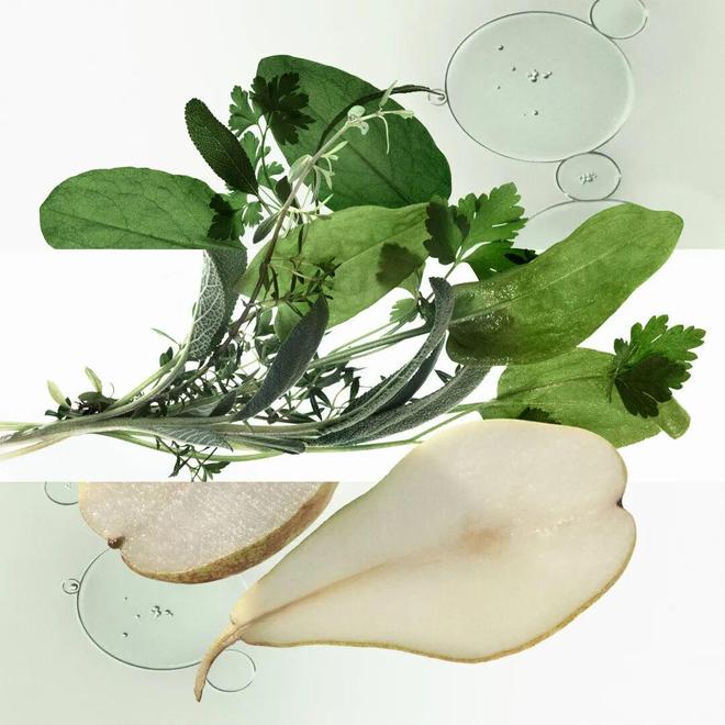 章已启美妆、香氛与腕表共赴闪耀时刻麻将胡了网址“伊”手快报 节庆序(图4)